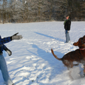 Sneeuwballen vangen