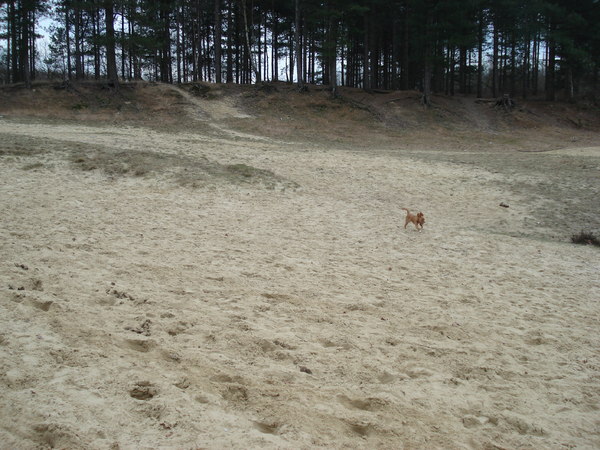 grote zandbak