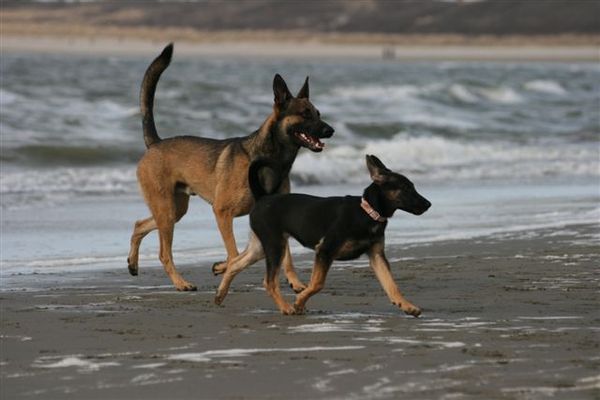 pa en dochter op het strand