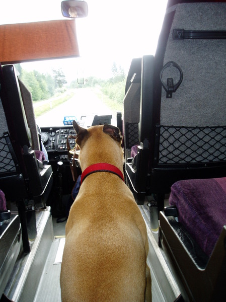 Lekker meerijden in de Noorse bus, oeff wat een bochten!