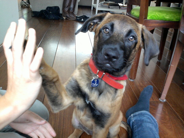 Kaya high five !!