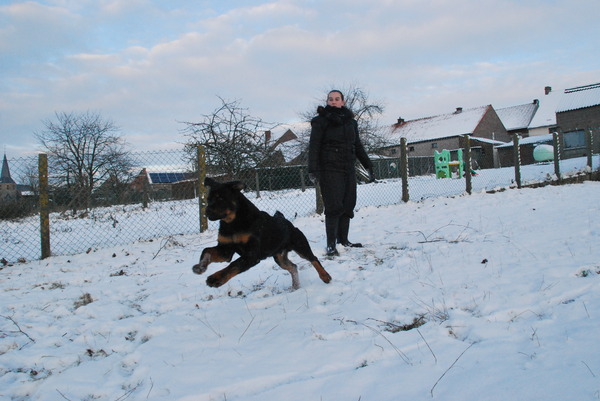 Diesel in de sneeuw