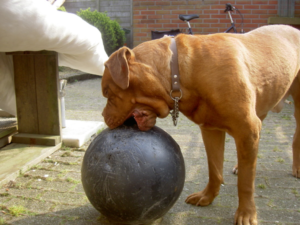 mijn bal en hij gaat kapot