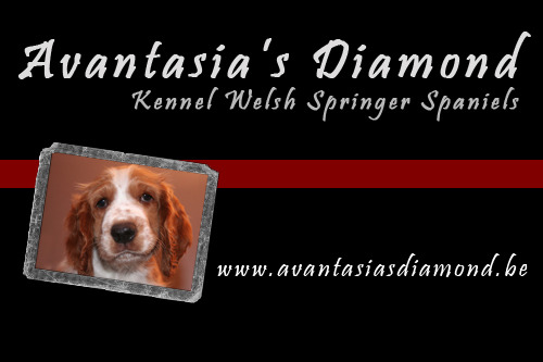 Avantasia's Diamond