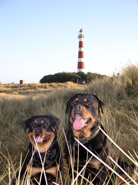 Rottweilerkennel van de Wodanahoeve