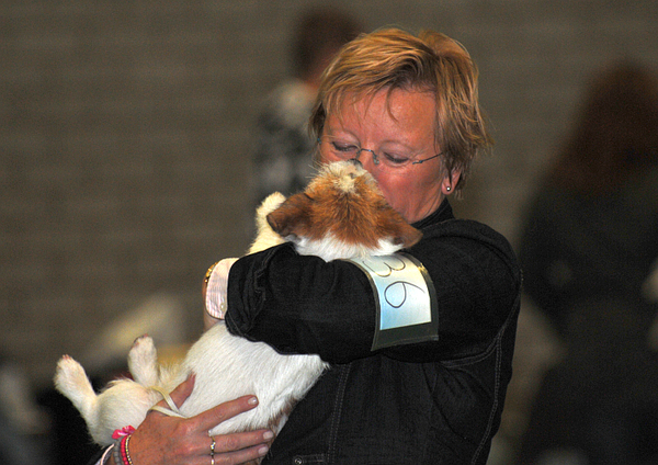 Baci, JRT kennel van 't 