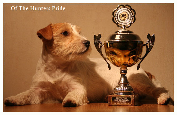 Hunters Pride, of the Jack Russell Terriers 