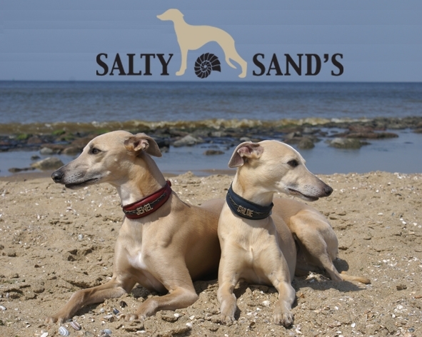 Salty Sand's