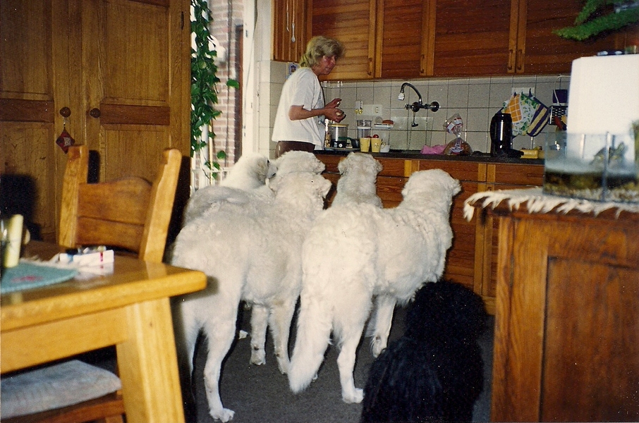 Krijgen wij wat lekkers!!