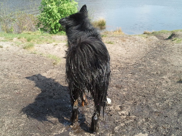 Rashja weer richting water