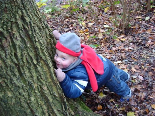 Joy in het bos