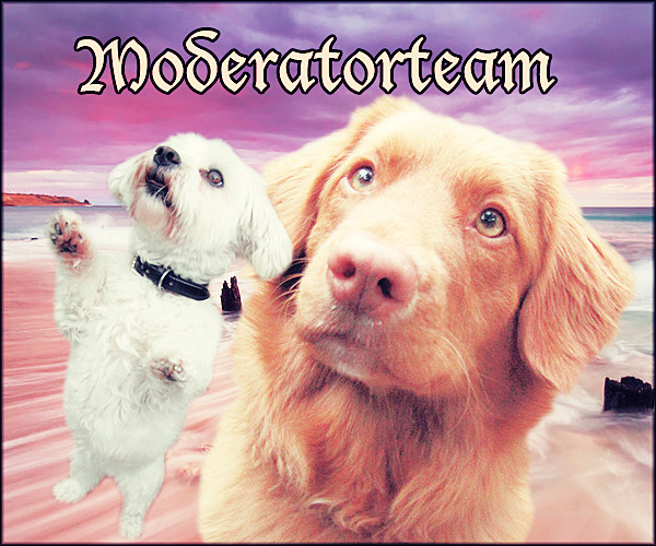 Moderatorteam