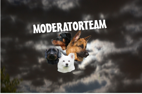 verzameling van onze honden