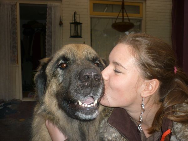 Leonberger