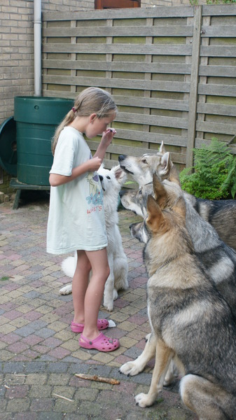 Daena met Bono Leffe en Kyra