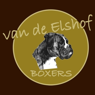 Van de Elshof boxers