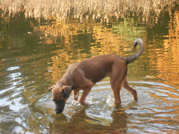 lekker in het water