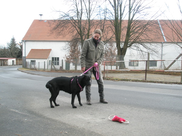 Lekker wandelen met een speeltje