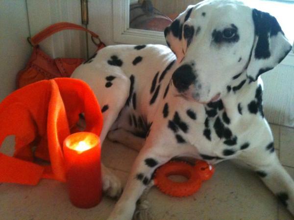 Oranje = een warme kleur zeker bij quinny