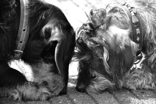 Samen...