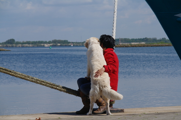 aan de haven