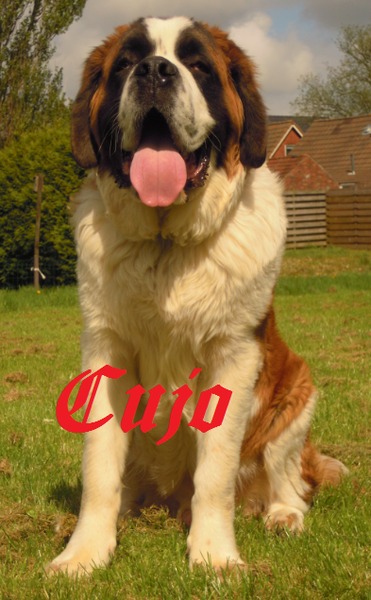 Cujo, 7 maand oud