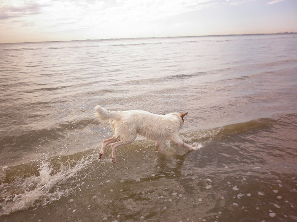 zweven door het water