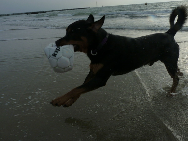 Bikkel in Zeeland !! 