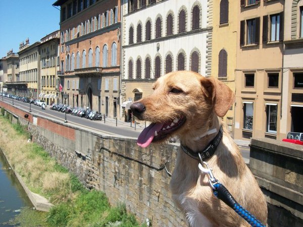 Groeten uit Florence!