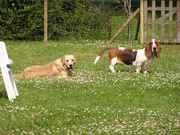 Samen in het gras