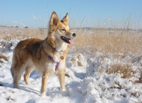 Bibi in de sneeuw