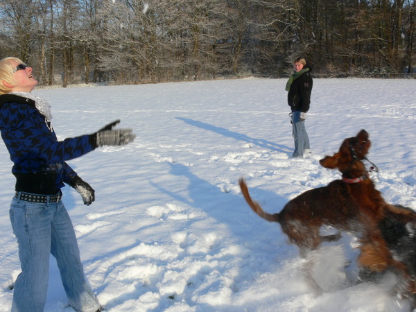 Sneeuwballen vangen