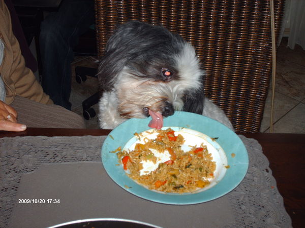 Turbo eet graag mee aan tafel