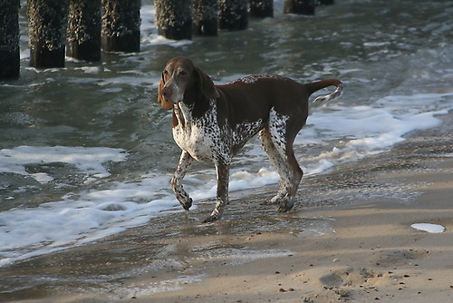 aan het strand