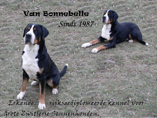 Van Bonnebelle