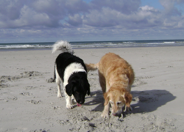 met mijn grote zus Britt lekker uitwaaien aan het strand