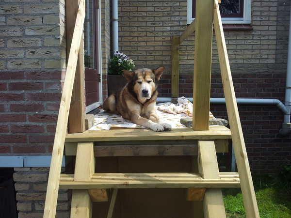 Lekker luieren op de tuintrap