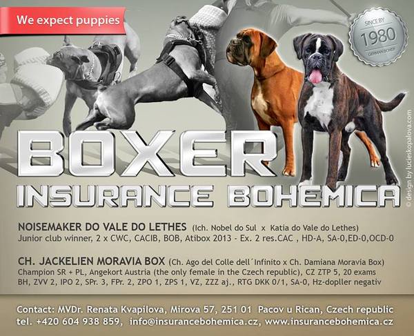 Insurance Bohemica