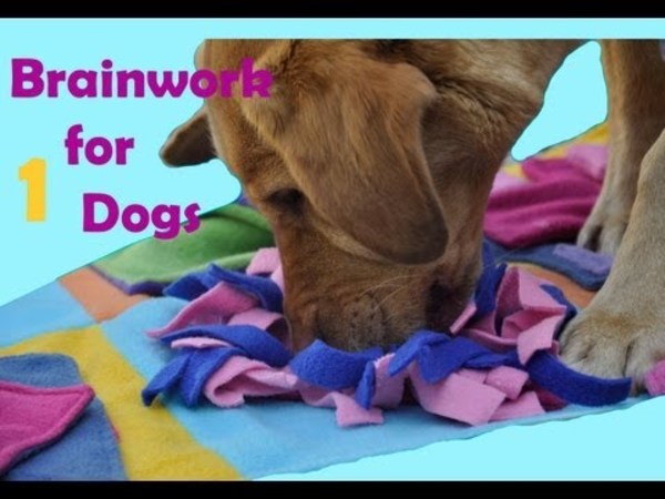 Brainworks for dogs