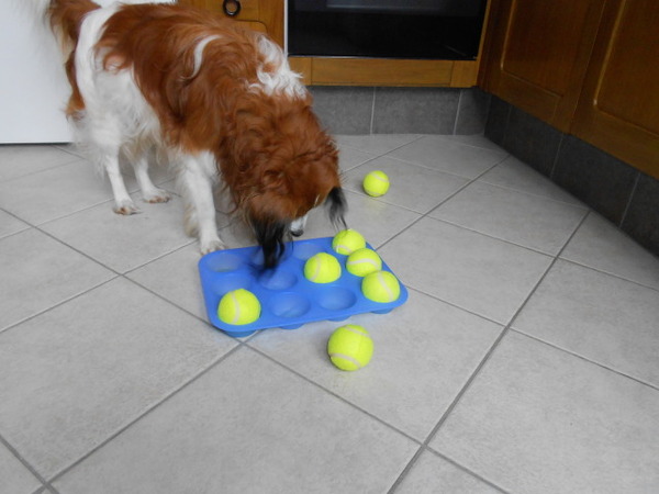 Koekjes onder de tennisballen