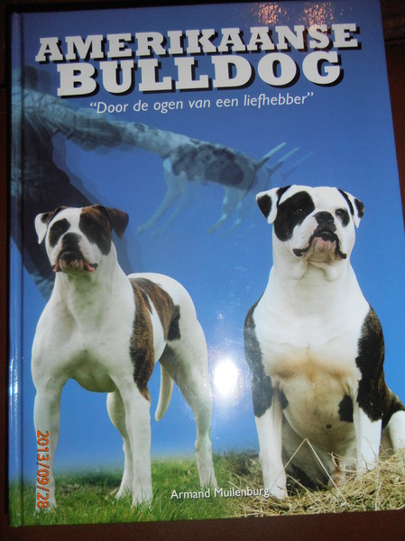 Boek, Amerikaanse Bulldog, door de ogen v.e liefhebber