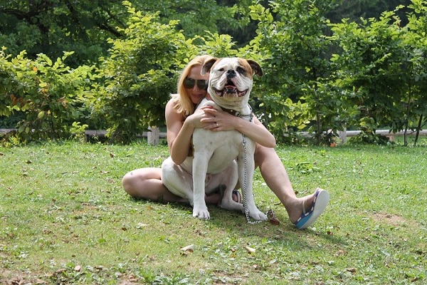 Amerikaanse Bulldog