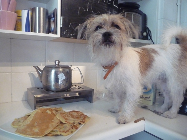 minou met haar pannekoekjes 