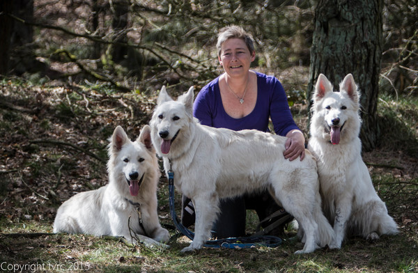 Zwitserse witte herder kennel Misthy's Friends