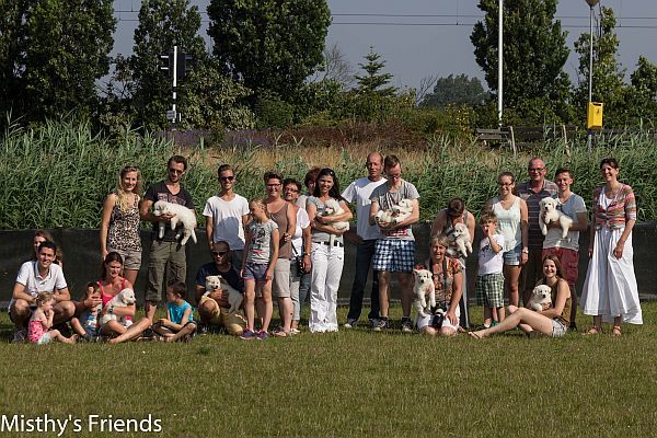 Zwitserse witte herder kennel Misthy's Friends