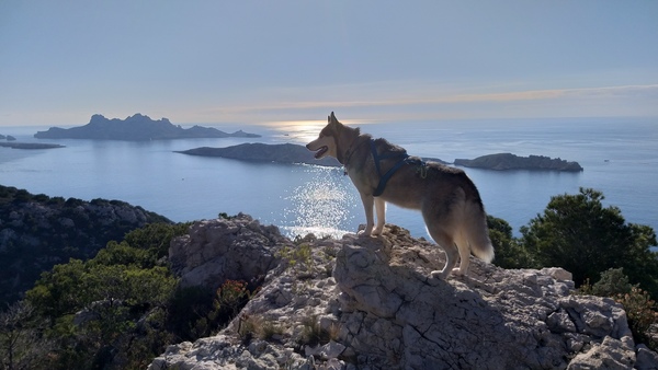 Uitzicht vanuit de bergen bij Marseille