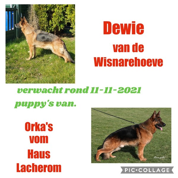 van de Wisnarehoeve