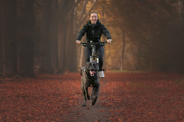 Bikejören in de herfst