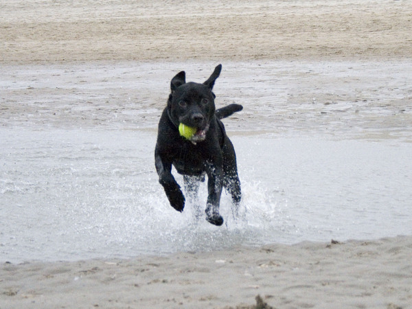 Lekker aan het strand