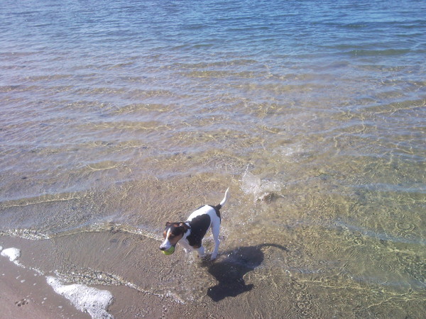 Jacky op het strand